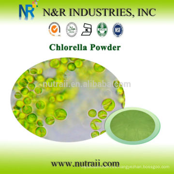 Polvo de Chlorella de la alta calidad y polvo orgánico de Chlorella